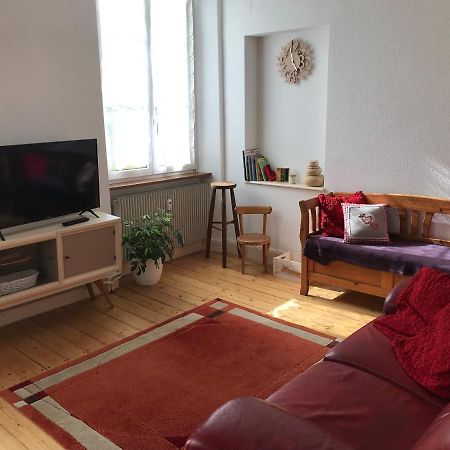 Le Clos Des Iris - Gite Rural 95 M2 Tout Confort En Alsace Bossue Domfessel Exteriér fotografie